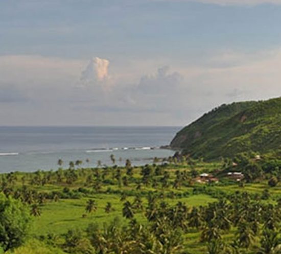 Lombok Land For Sale