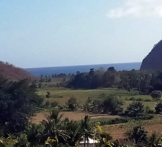 Lombok Land For Sale