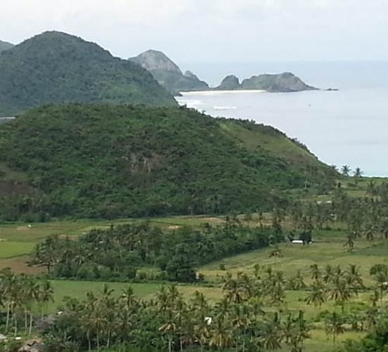Lombok Land For Sale